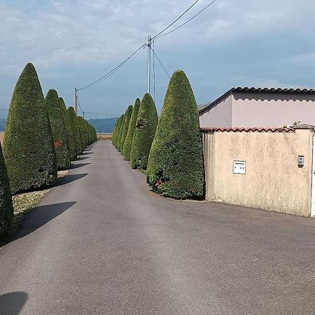 Charmante Maison Avec Piscine Anneyron Exterior foto